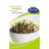 BIO - Mustár ehető csíramag - Rédei Kertimag