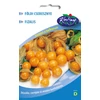 FÖLDICSERESZNYE - physalis - Rédei Kertimag