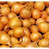Dughagyma - Setton 250g