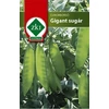 Cukorborsó Giant Sugar - ZSENGE - ZKI