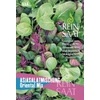 BIO Ázsiai saláta mix - ReinSaat - TÉPŐSALÁTA
