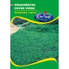 Dichondra Gyephelyettesítő Pázsitszulák 50g - Rédei Kertimag