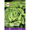 Saláta - Attrakció - NYÁRI, ŐSZI - ZKI