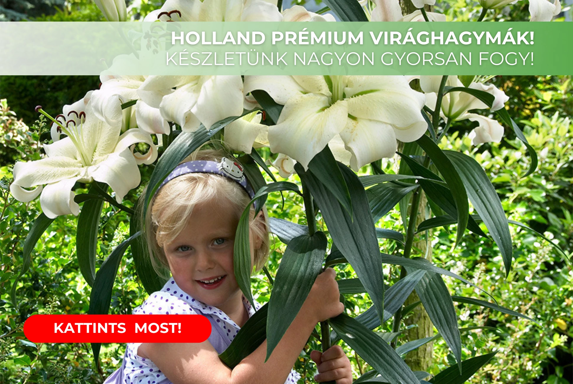 Tavaszi virághagymák