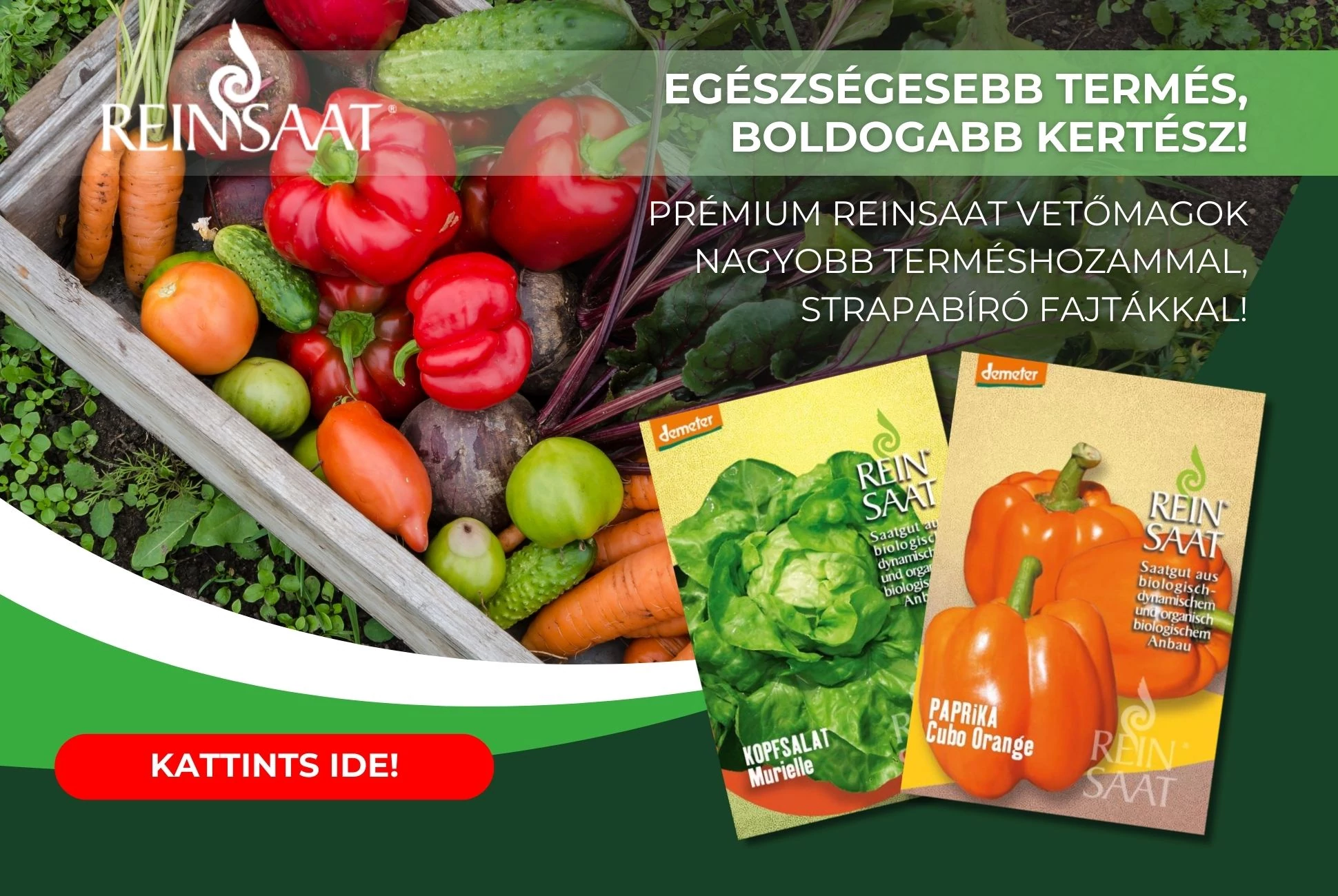 Bio ReinSaat vetőmagok