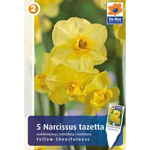 Nárcisz 'Yellow Cheerfulness' virághagyma
