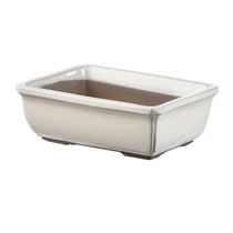 Mázas Bonsai tál Venezia Panna KRÉM