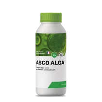 Asco Alga 0,2l  - Algás lombtrágya bőségesebb, egészségesebb termés