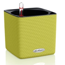 Cube Color 16