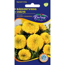 Óriásvirágú alacsony bársonyvirág citromsárga (Tagetes erecta)