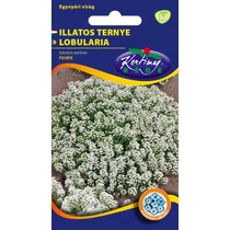 Mézvirág - Illatos ternye - Rédei Kertimag