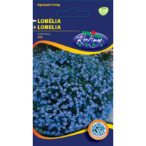 Futó Lobélia Kék  (Lobelia pendula)