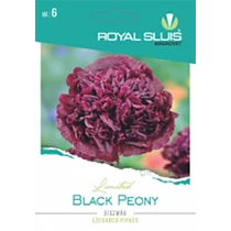 BLACK PEONY díszmák