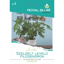 Szeldelt levelű filodendron