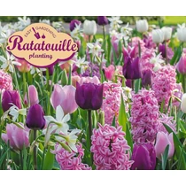 Ratatouille Planting Purple and Pink