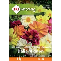 Egynyári dália Mignon színkeverék