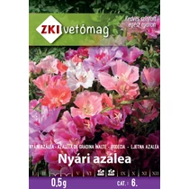 Nyári azálea színkeverék - MAGAS 