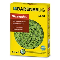 Kép 1/3 - Gyephelyettesítő Dichondra - Pázsitszulák