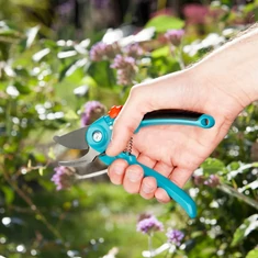 Metszőolló, ág- és sövényvágó