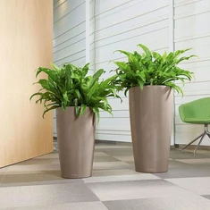 Önöntözős Lechuza kaspók és kiegészítők