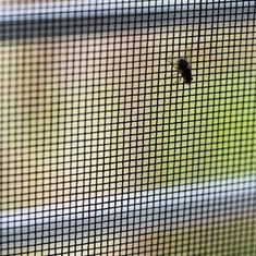 Rovarhálók, rovarfüggöny