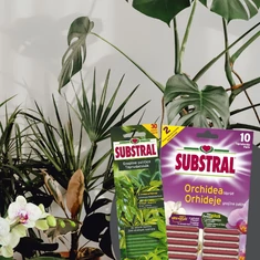 Növény- és virág táprúd