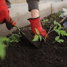 Talajfertőtlenítők