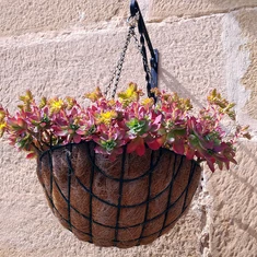 Függő kaspók, kókuszbetétes növénytartók