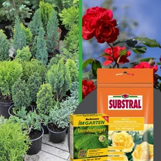 Örökzöld- és kerti növény trágya, tápanyag