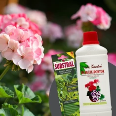 Szoba- és balkonnövény tápoldat