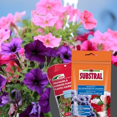 Szoba- és balkonnövény trágya, tápanyag