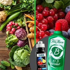 Zöldség- és gyümölcs tápoldat