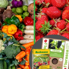 Zöldség- és gyümölcs trágya, tápanyag