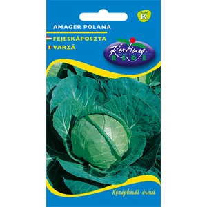 Fejes Káposzta - Amager polana - ŐSZI - Rédei Kertimag