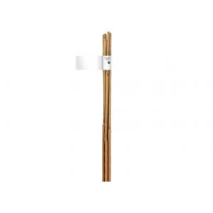 Nortene  Bambusz termesztő karó