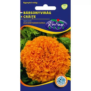 Bársonyvirág - Óriásvirágú Narancssárga - ALACSONY - Rédei Kertimag