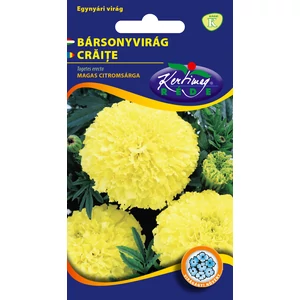 Bársonyvirág - Óriásvirágú Sárga - Rédei Kertimag