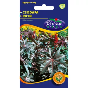 Csodafa - Piroslevelű - Rédei Kertimag