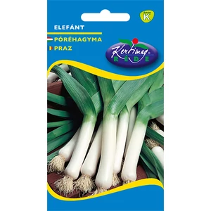 Póréhagyma - Elefánt - Rédei Kertimag