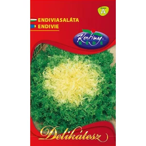 Saláta - Endíviasaláta - Rédei Kertimag