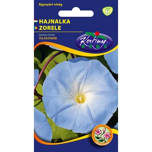 Kúszó Kerti Hajnalka - Kék - Rédei Kertimag