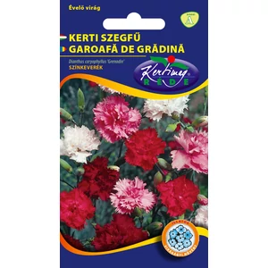 Évelő Kerti Szegfű - Színkeverék - Rédei Kertimag