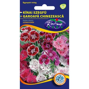 Kínai Szegfű - Színkeverék - Rédei Kertimag