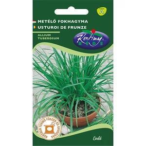 Metélő fokhagyma - Rédei Kertimag