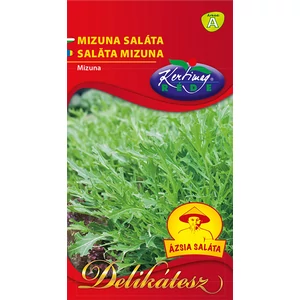 Saláta - Mizuna - Rédei Kertimag