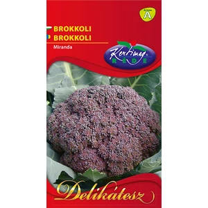 BROKKOLI Miranda - ŐSZI - Rédei Kertimag