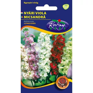 Illatos Nyári Viola - Rédei Kertimag