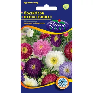 Őszirózsa Prinzess - Színkeverék - Rédei Kertimag
