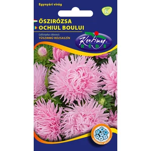 Őszirózsa Tűszirmú - Rózsaszín - Rédei Kertimag