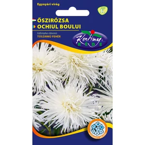 Őszirózsa Tűszirmú - Fehér - Rédei Kertimag